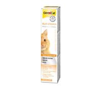 0.02 KG Gimborn Pasta Multivitamínica