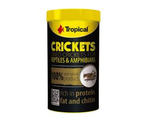 0.03 KG Tropical Crickets alimento para reptiles