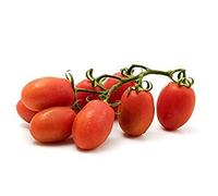 0,3 g (Aprox. 105) Semillas de Tomate Roma VF clásico Italiano de Pasta de Tomate para la Industria conservera