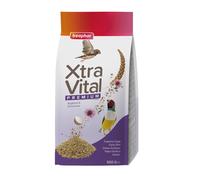 Beaphar Xtravital Aves Exóticas - Alimentación Premium - Contiene Semillas y Cereales - Fortalece su Sistema inmunológico - Proporciona un Plumaje denso y Mantiene en Buena Salud - 500g