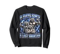0 Días Desde la Última Meme Divertido Mapache Sharted Sudadera