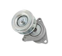 0290-T30 11955-6N20B 1 conjunto tensor compatible con Nissan Altima Rogue Select Sentra X-Trail 02-15 Polea tensora Polea loca