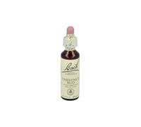 Flores de Bach 07 Chestnut Bud (Brote de Castaño) 20 ml de elixir floral - Bach Original