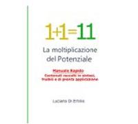 1+1=11 (ebook)