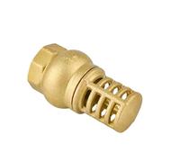 1-1/2" BSP Female Thread Brass Check Valve Strainer Filter Bottom Valve Water Pump Foot Valve