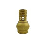 1-1/4" BSP Female Thread Brass Check Valve Strainer Filter Bottom Valve Foot Valve For Water Oil Pump CBQZCHWDKT