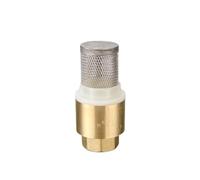 1-1/4" BSP Female Thread Brass Check Valve With Mesh Strainer Filter Bottom Valve Foot Valve YZWRWRMKTB