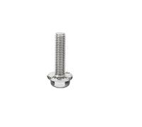 1/10 Uds A2-70 304 cabeza hexagonal de acero inoxidable GB5787 con tornillo tapa brida dentada M5 M6 M8 M10 M12 perno arandela(45mm,10pcs M6)