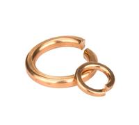 1-100 unidades M2-M22 arandelas de resorte divididas de latón, M6(20 piezas)