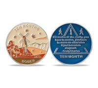 1-12 meses sobriedad moneda AA chips y medallones, fichas de sobriedad chip de recuperación de la empresa (10 mes)