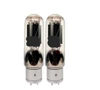 1/2/4 piezas 845 tubo de vacío(2PCS 845)