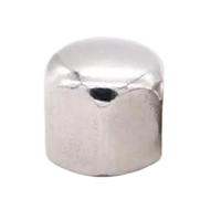 1/2/5/10 Uds M3 M4 M5 M6 M8 M10 M12 M14 M16 304 hexagonal de acero inoxidable tapa delgada corta y baja cubierta de tuerca de bellota tuerca ciega(M14)