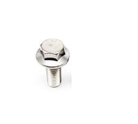 1/2/5/10 Uds M4 M5 M6 M8 M10 M12 A2-70 304 acero inoxidable GB5787 cabeza de arandela hexagonal perno con tornillo tapa brida dentada(2pcs M10x45mm)