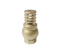 1/2" BSP Female Thread Brass Check Valve Strainer Filter Foot Valve Bottom Valve YZWRWRMKTB