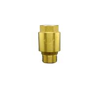 1/2" BSP Male To Female Thread Brass Vertical Lift Spring Check Valve One Way Non-return Valve For Water YZWRWRMKTB