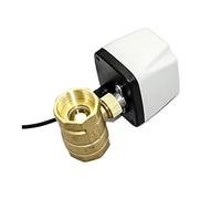 1/2 cita; 3/4 cita; 1 cita; 2 citas; válvula de bola eléctrica AC220V 3 cables 2 puntos de control de latón válvula de bola motorizada 220 V CA 24 V CC 12 V CC 24 VCA 1 unidad (24 V CC, 1.25 pulgadas)