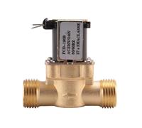 1/2 inch Ac 220V Normally Closed Brass Electric Solenoid Magnetic Valve for Water Control Chemical L