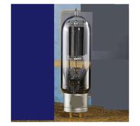 1/2/piezas WE845 Amplificador de tubo de audio(2pcs Matched Pair)