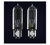 1/2 tubo de vacío WE845 for audio(2pcs)