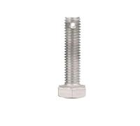 1/2 Uds tornillo de cabeza hexagonal cola con agujeros pernos M10 M14 M16 tornillos externos acero inoxidable 60mm-100mm longitud(80mm,M10(2pcs))