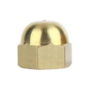 1-20 Piezas Tuercas Ciegas Hexagonales De Cobre M3 M4 M5 M6 M8 M10 M12 M14 M16 M18 M20 M22 M24 Cúpula Bellota Mut Tuerca Ciega Métrica(M16 2pcs)