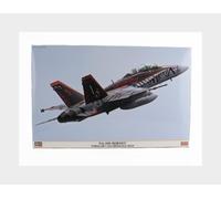 1:48 HASEGAWA Grumman F/A-18E Super Hornet Vfma 224 Bengals Kit HA07545