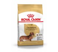 1.5 kg Royal Canin Adult Dachshund pienso para perros