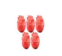 1-5pcs Life Size Halloween Fake Body Parts Prop Decor | 1-5pcs life size silicone fake body parts prop for Halloween haunted house decor.(Heart-5PCS)