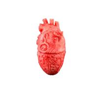 1-5pcs Life Size Halloween Fake Body Parts Prop Decor | 1-5pcs life size silicone fake body parts prop for Halloween haunted house decor.(Heart-1PC)