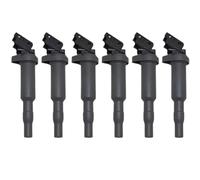 1-6pcs Bobinas de encendido del motor Compatibles con N16 N46 N52 N54 N55 N63 S63 Los motores se ajustan a E46 E53 E60 E83 E90 E70 Modelos Números de pieza 12137594937 12137571643 021504470(6PCS)