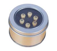 1/6pcs Guitar Bridge Sattles Nut Acoustic Guitar Bridge Pins Repuesto String Pegs Guitarra Accesorios Fácil de Usar