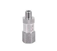 1/8 "BSP NPT Válvula de control un solo camino femenino sin retorno en línea 304 acero inoxidable agua vapor, Compatible universalmente(Female To Male BSP)