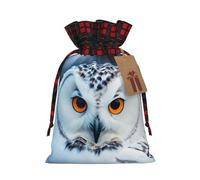 1 bolsa de mano con diseño de ojos de búho nevado con cordón, 8.3 x 11.8 pulgadas, para regalos, viajes y uso diario con etiquetas de regalo Kraft