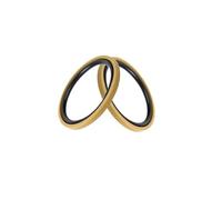 1 cilindro hidráulico de anillo glyd, sello alternativo STD, eje de agujero de dos vías, anillo de desgaste de goma de nitrilo (115 x 99.5 x 6.3 pulgadas)