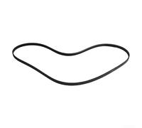 1 correa secadora doméstica apta para 7PH1915 diseñada para un uso duradero