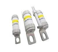 1 fusible 66LKB300ST 66LKA20/100 66LKB100ST/125 300A(66LKB200ST)
