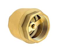 1 inch check valve made of high quality heavy duty brass, rustproof and leakproof for pump, fountain, washing machine, garden, rain butts, barrel