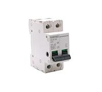 1 interruptor principal HL30, disyuntor de aislamiento, función doméstica, aislador de desconexión, 2P, 32 A, 63 A, 100 A (tamaño: 2 polos, color: 40 A)(100a)