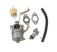 1 juego de carburadores para carburador Einhell STE 8000, STE 8000/1, STE 800/1, BEX/1 carburador generador, accesorios para herramientas de jardín