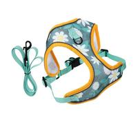 1 Juego de Correa para Mascotas, cinturón de Seguridad Verde para Mascotas, arnés para Caminar para Perros, arnés para Chaleco para Perros (Verde, 22x21x3cm)