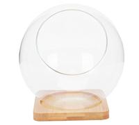 1 Juego Florero De Bricolaje De Musgo Jarrón De Cristal Redondo Micro Terrario Para Plantas Mini Terrario Tazón Transparente De Corte Inclinado Terrarios Vidrio Maceta Escritorio