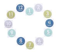 1 Juego Pegatinas de Mes para Bebés Recién Nacidos Stickers de Milestone para Primer Año Accesorios Fotográficos para Embarazadas y Celebraciones de Cumplemes