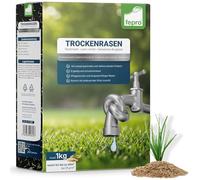 1 kg de semillas de césped resistentes a la sequía y resistentes a la sequía para césped seco y césped de sombra, semillas de hierba de germinación rápida, 40 m², ideal para siembra nueva y resiembra