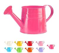 1 L de metal Watering Can, Vintage Galvanised Tinplate Sprinkling Kettle for Indoor & Outdoor Plants, Rust-Rust-Resistant Gardening Tool for Flowers (Rose)