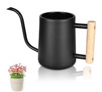 1 L Regadera, Regadera para Plantas, Regadera Pequeña, Regadera de Interior, Regadera de Acero Inoxidable con Mango de Madera, para Jardín, Hogar, Oficina, Flores (Negro)