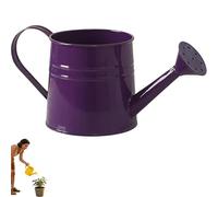 1 litro pequeño metal Watering Can, Gardening Water Pot with Sprinkler Head, Vintage Galvanized Sprinkling Can for Indoor & Outdoor Plants, Flowers, Balcony Gardening (purple)