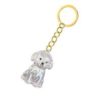1 llavero conmemorativo para cenizas de mascotas y pelo, transparente con llavero para recordar pérdidas, llavero conmemorativo, cadena de ojos, estuche transparente para el cabello
