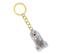 1 llavero conmemorativo para cenizas de mascotas y pelo, transparente con llavero para recordar pérdidas, llavero conmemorativo, cadena de ojos, estuche transparente para el cabello