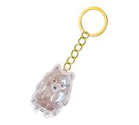 1 llavero conmemorativo para cenizas de mascotas y pelo, transparente con llavero para recordar pérdidas, llavero conmemorativo, cadena de ojos, estuche transparente para el cabello