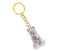 1 llavero conmemorativo para cenizas de mascotas y pelo, transparente con llavero para recordar pérdidas, llavero conmemorativo, cadena de ojos, estuche transparente para el cabello